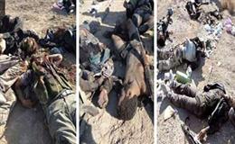 هلاکت ۱۴۰ داعشي در دو جبهه